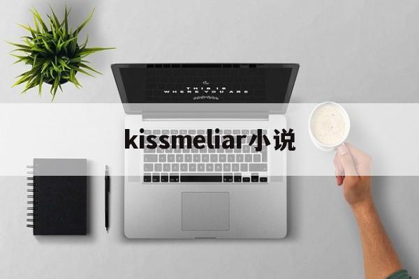 kissmeliar小说(kiss me liar有小说吗)